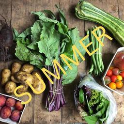 Image of Medium Veg Bag - Middle Income