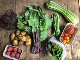 Image of Medium Veg Bag - Higher Income