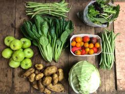 Image of Large Veg Bag - Lower Income